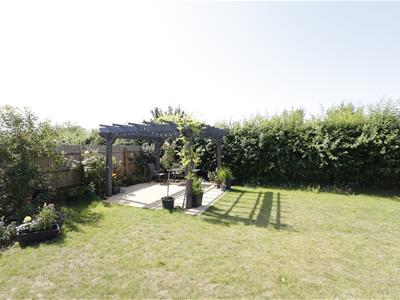 Picture 24